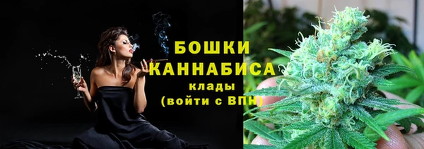 гидра Няндома