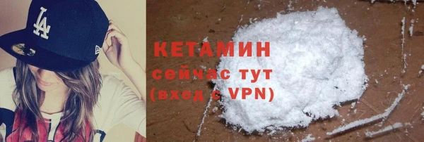 гидра Няндома