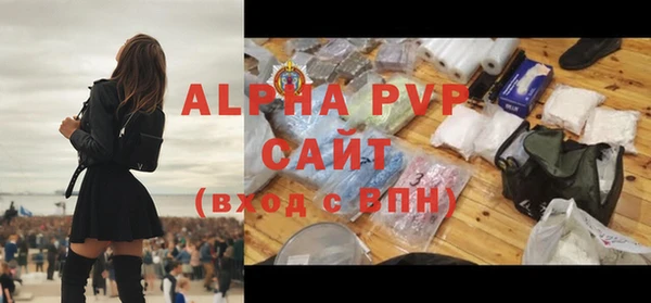 гидра Няндома