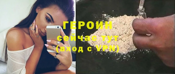 гидра Няндома