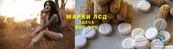 гидра Няндома