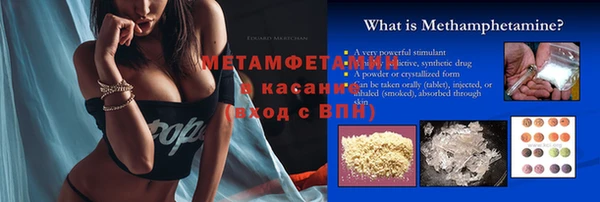 гидра Няндома