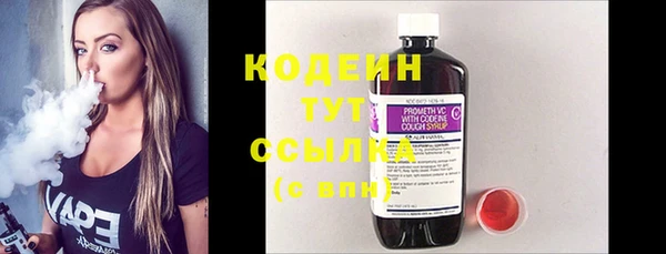гидра Няндома
