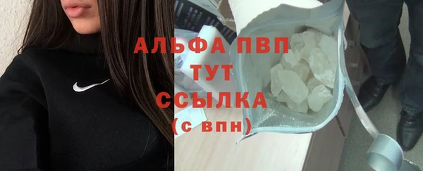 гидра Няндома