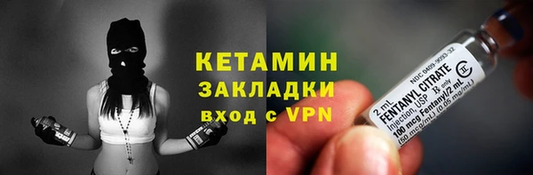 гидра Няндома