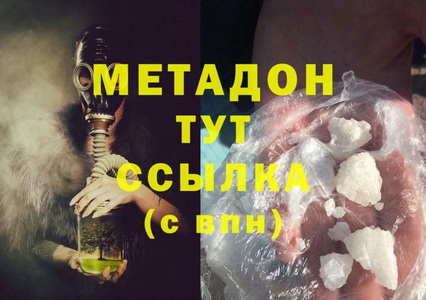 гидра Няндома