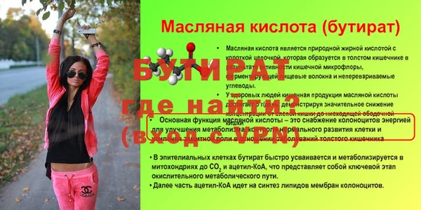 гидра Няндома