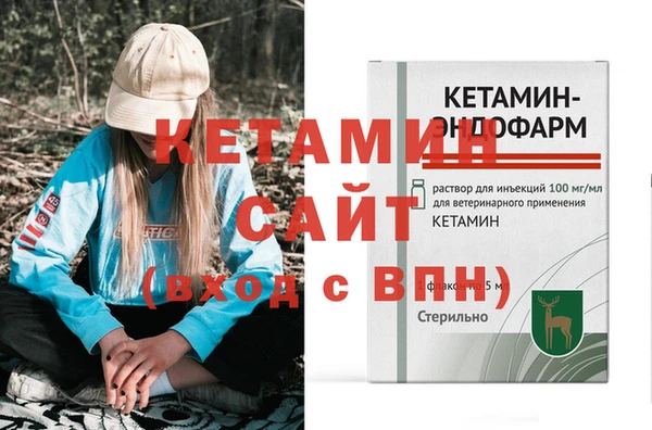 гидра Няндома