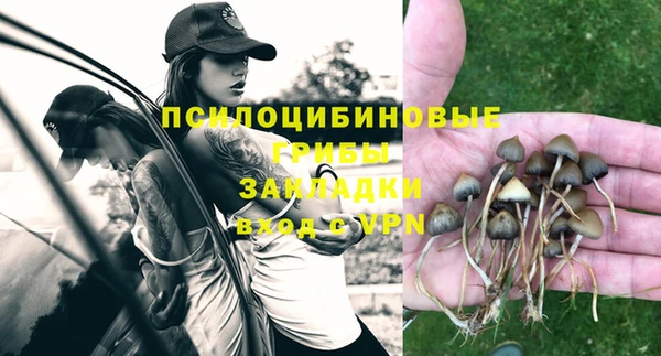 марки lsd Нязепетровск