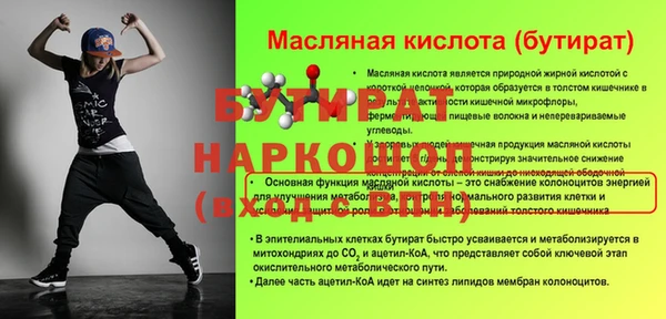 гидра Няндома