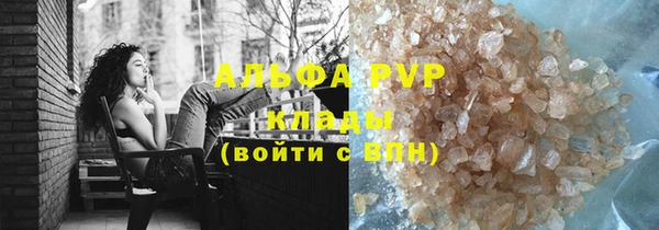 гидра Няндома