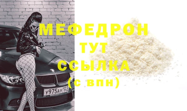гидра Няндома