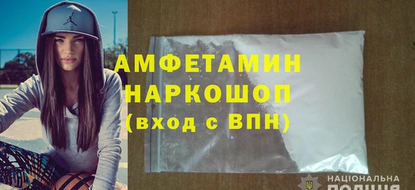 гидра Няндома
