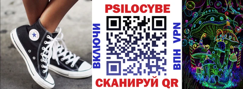 Псилоцибиновые грибы Psilocybine cubensis  Красный Холм 